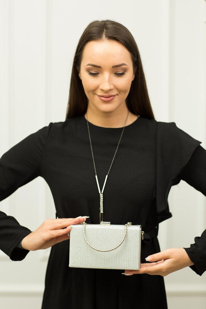 Women's Stylish and Useful Evening Dress Bag Women's Platinum Silvery Evening Dress Bag