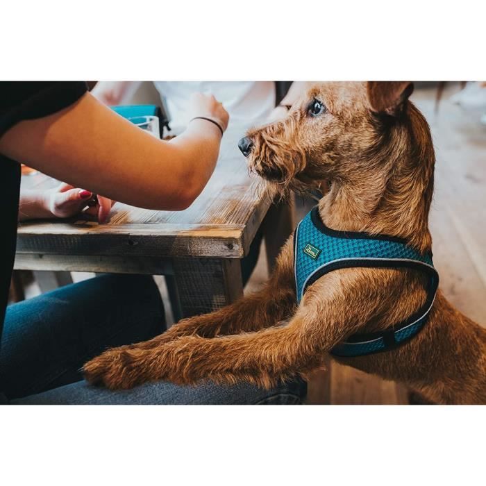 Harnais en Maille - HUNTER - Hilo Comfort - Marron - Petit Chien - Léger et Rafraîchissant