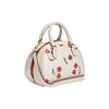 New COACH Sydney Canvas With Leather Shoulder Bag Crossbody Bag Handbag Small Size Women's White CF421-IMCAH