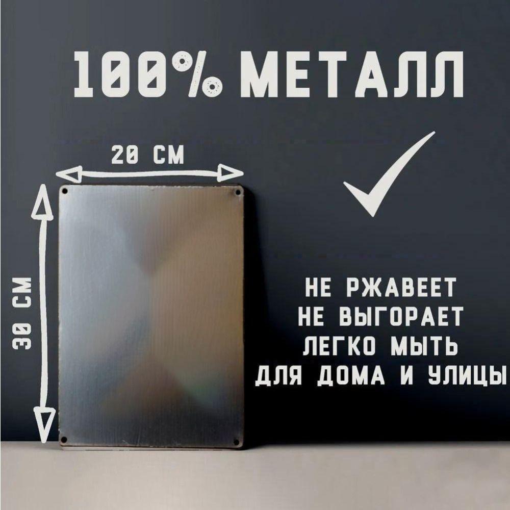 Винтажная металлическая настенная табличка Декоративная жестяная картина 15x30 см