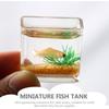 Мини-миска для рыб, кукольный домик, миниатюрный аквариум, маленькая стеклянная чаша для золотых рыбок для сказочного пейзажа, садовый орнамент, аксессуары для украшения кукольного домика