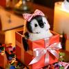 Purchase Cute and Exquisite Plush Red High-end Bag Pendants, Internet Birthday Gifts Key Chains, Birthday Gifts, Plush Toy Gifts