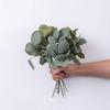6 шт. искусственные листья эвкалипта, стебли зелени, реалистичный вид, яркий цвет, натуральные, не требующие ухода, искусственные растения, декор для зелени