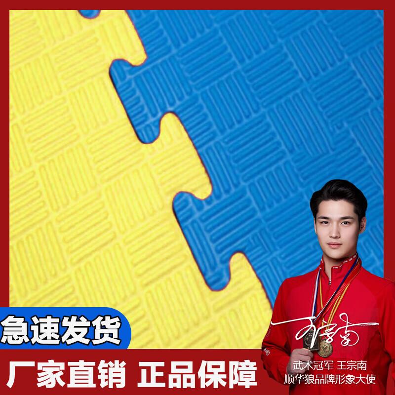 Shunhualang Interlocking Taekwondo & Training Mat