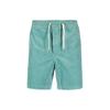 Polo SS23 Solid Color Casual High-Waisted Drawstring Straight-Leg Shorts Men Shorts Blue-Green 710800214-011