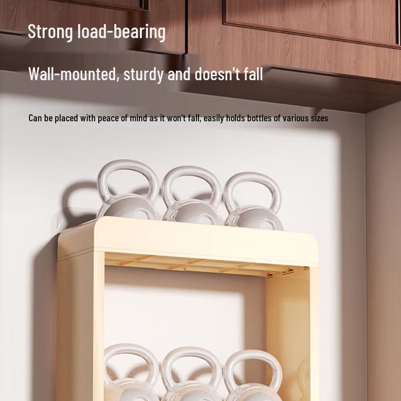 Wall-Mounted Plastic Spice Rack