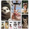 Чехол для телефона Samsung Galaxy S23 S22 S24 Ultra S21 Plus S20 FE S10 + S10E S9 S8 с принтом 'Щенки чихуахуа, той-терьеры' Coque