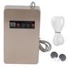 50Hz 600mg/h Ozone Generator Ozonator Household Water Food Vegetable