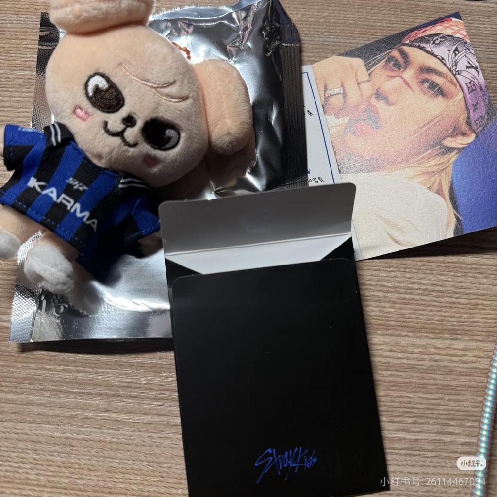 Stray kids KARMA версия SKZOO Kpop подарок SKZ Хенджин Бончан Ли Ноу Чанбин