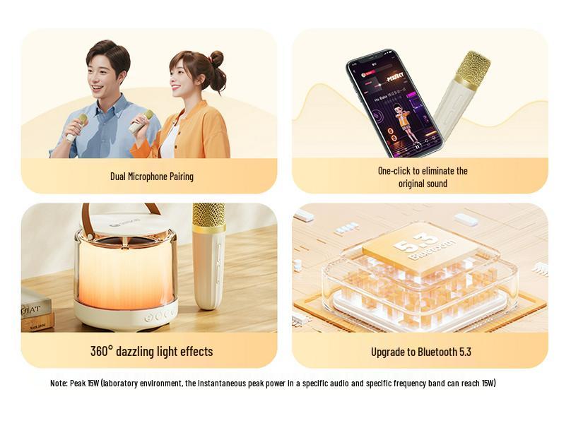 Free Shipping MZ31 Bluetooth Dual Microphone Speaker for Home KTV and Outdoor Use