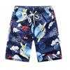 Men's Quick-Dry Beach Shorts: Summer Seaside Swim & Sports, Loose Five-Point Pants for Couples