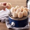 Egg Boiler Double Layers Egg Cooker Multi-function Breakfast Machine Stainless Steel Egg Steamer Mini Steamer Poacher Kitchen