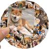 55PCS Funny Dog Meme Stickers Cute Dogs Animal Stickers Waterproof Vinyl Decal for Laptop Water Bottle Phone Luggage Book Guitar