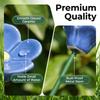 3 pcs Garden Decoration Bee Butterfly Water Dispenser Flower Shape Artificial Flower  Party Decor