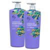Кондиционер для волос Elastin Delight Wish Perfume 1 л 2 шт.
