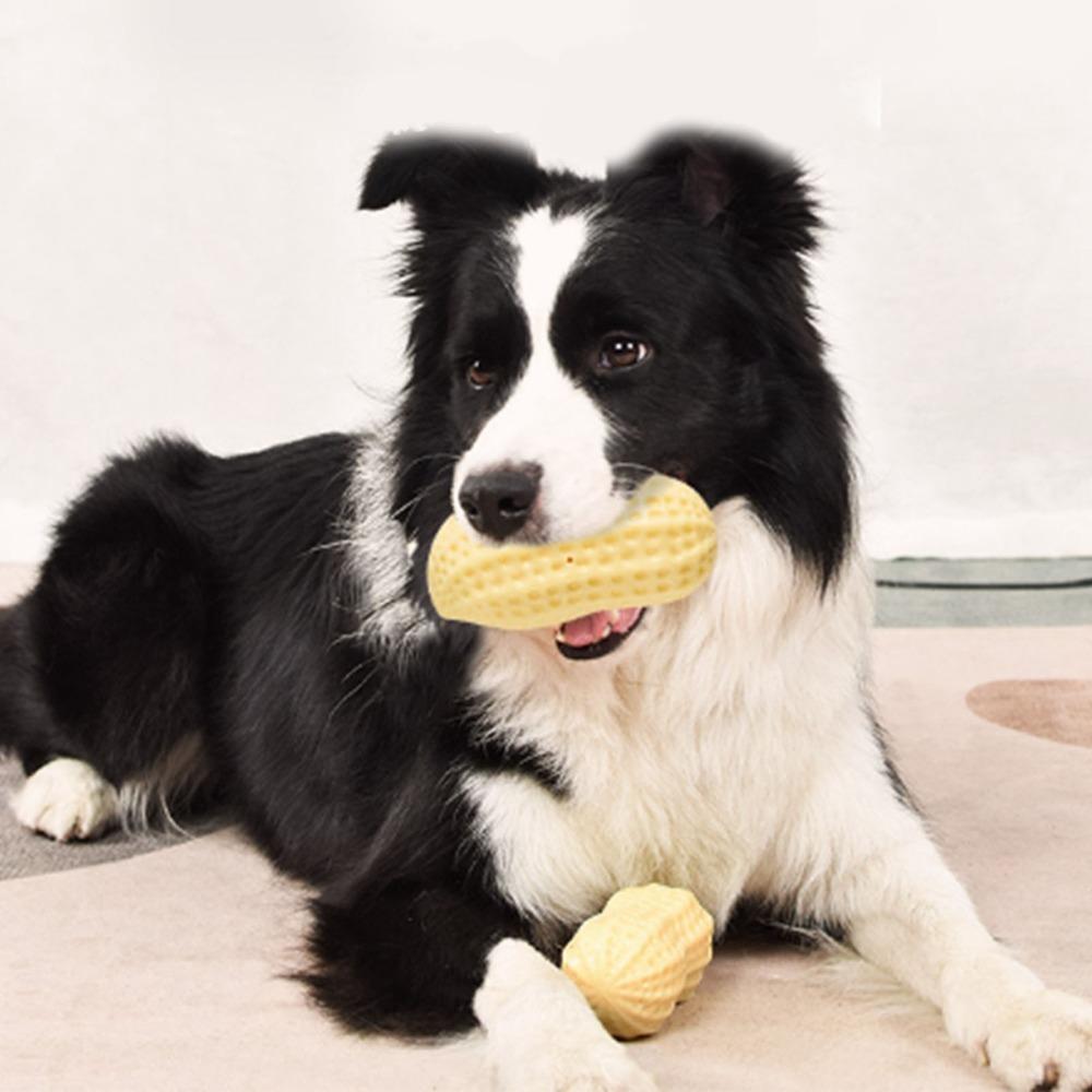 Peanut Shape Peanut Dog Chew Toy Tpr Teething Chew Toy Squeaky Dog Toy Small Breed Dogs