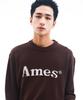 AMES-WORLDWIDE Basic Pullover Knit Brown