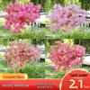 Artificial Cherry and Peach Blossom Branches for Indoor/Outdoor Decoration, Wedding Decor, Pear Flowers, Faux Silk Ceiling Rattan