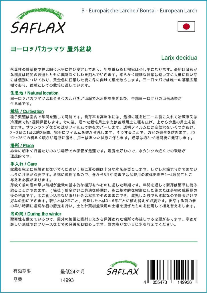 SAFLAX Garden in the Bag - Бонсай - Лиственница европейская - 75 семян - С субстратом в подходящем мешке - Larix decidua