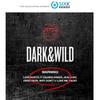 1-й полноформатный альбом [DARK&WILD]