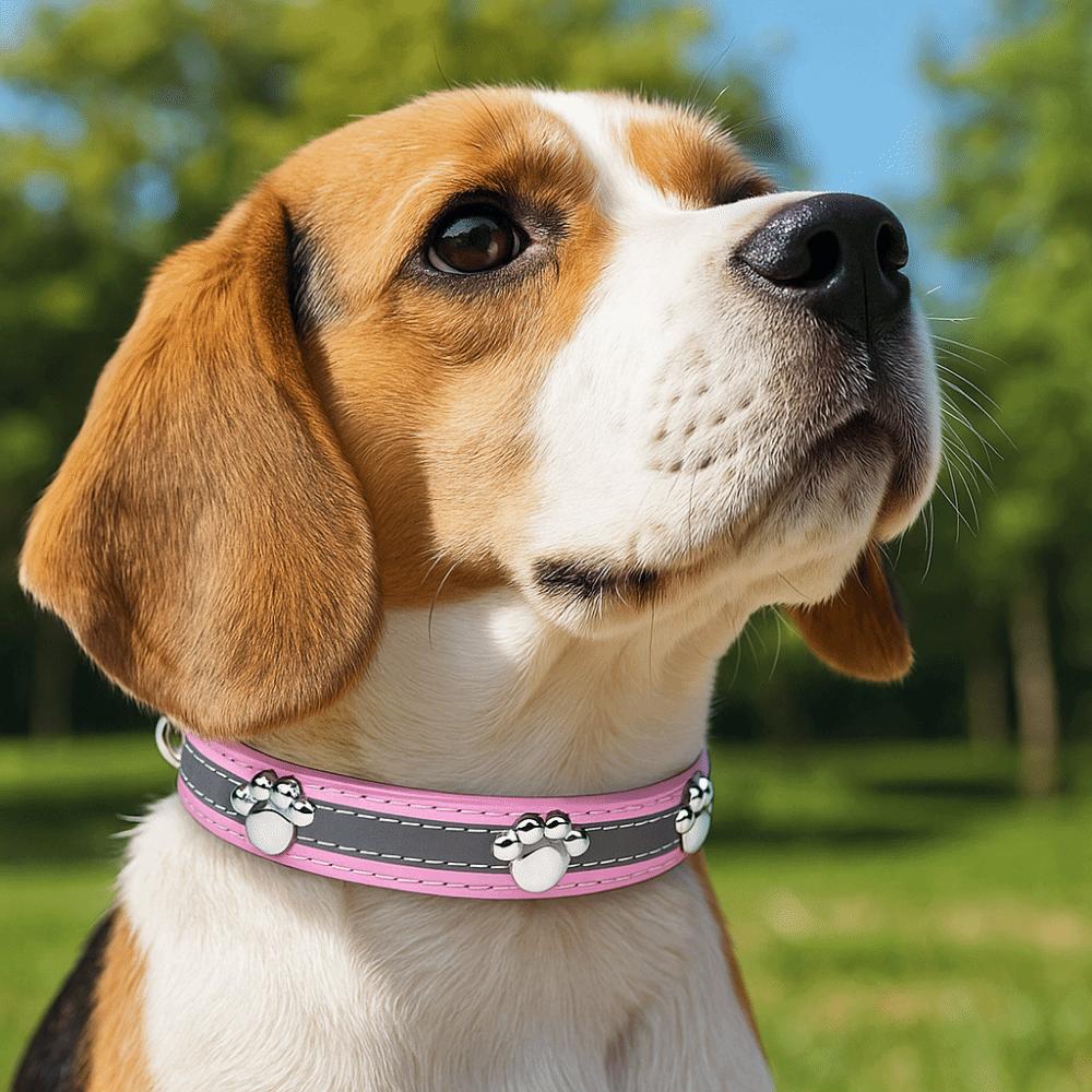 Adjustable Reflective Dog Collar Metal Buckle Dog Necklace Dog Footprint Collar Pet Supplies