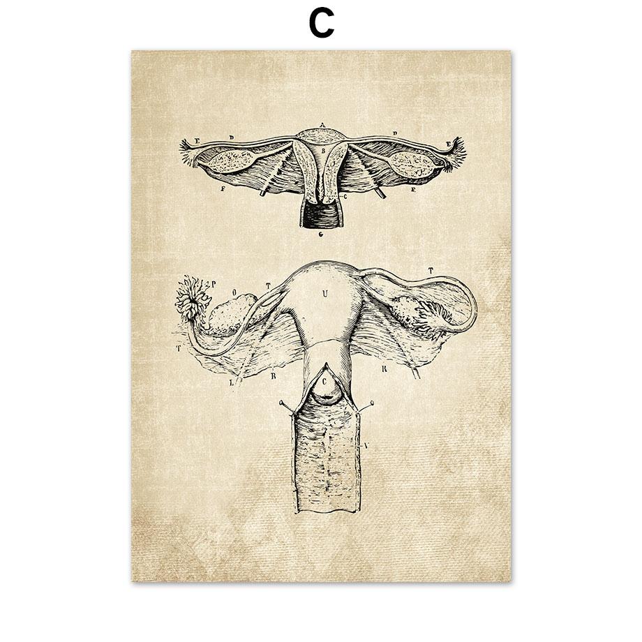Постеры на скандинавскую тему и принты, настенная живопись на холсте, Анатомия, скелет, винтажные настенные панно для больницы, доктора, офисного декора