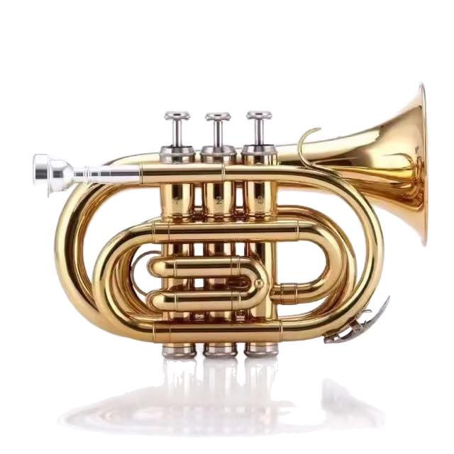 Compact B-flat Pocket Trumpet for Beginners - Mini Brass Instrument