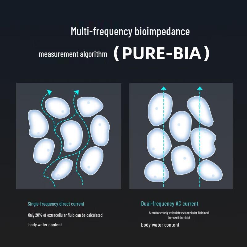 Yolanda Smart 8-Electrode Body Composition Scale