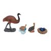 4pcs Simulation Animal Model Ostrich Model Toy Ornament Children Cognitive Growth Cycle Toy for Kindergarten School