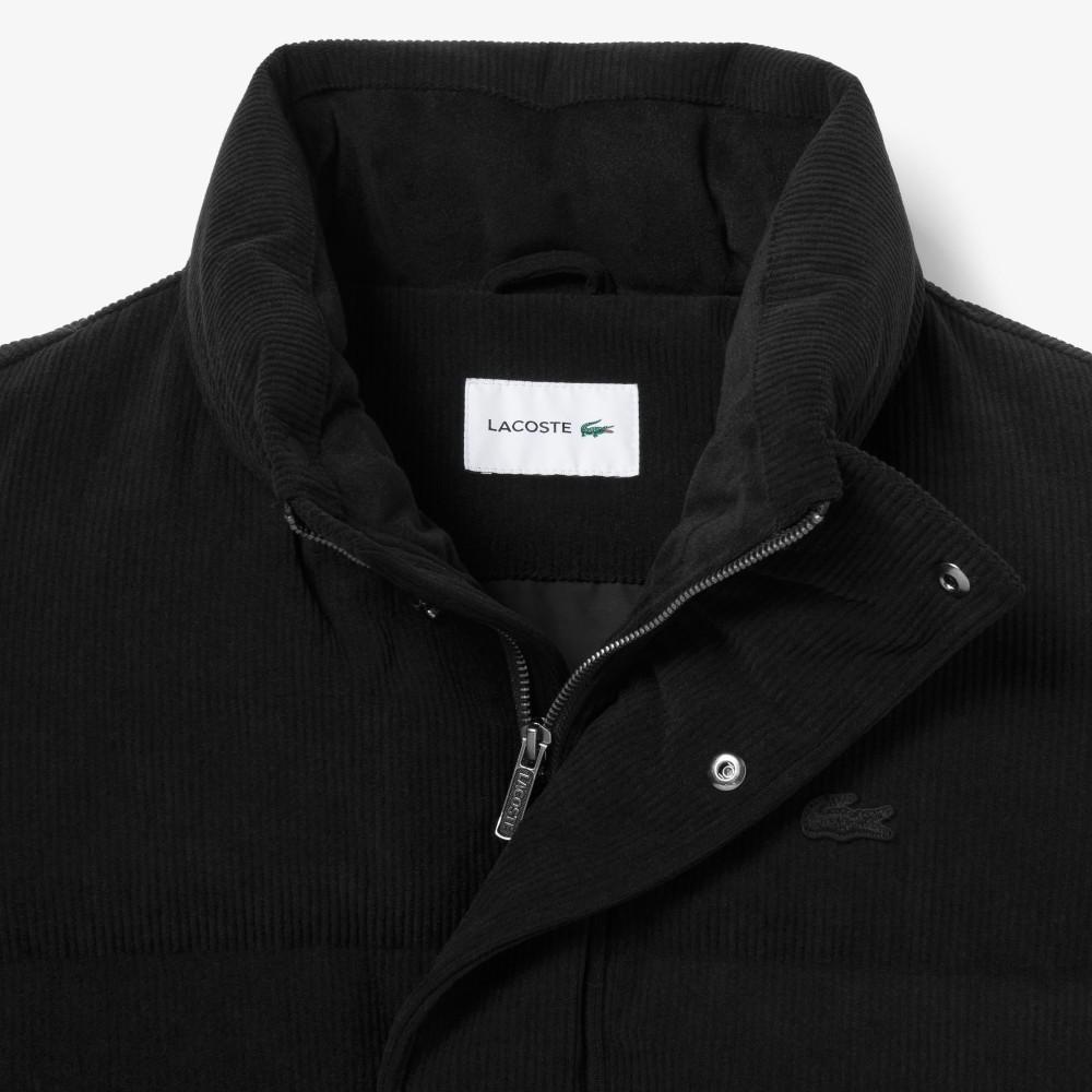 [lacoste] Men's Corduroy Down Jacket BH703E-55N031