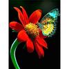 DIY Butterfly 5D Diamond Painting Full Round Drill Mosaic Animal Diamont Embroidery Cross Stitch Kits Resin Home Decor Art Gift