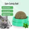 Catnip Rotating Ball & Teasing Stick - Bite-Resistant Toy & Teething Aid for Kittens