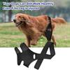 Pet Recovery Belt Dog Leg Brace Protective Dog Knee Hip Brace