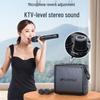SANSUI G1 Outdoor Karaoke Bluetooth Speaker (CN version)