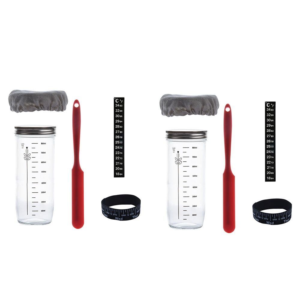 Жаростойкий набор банок для закваски, многоразовые банки для заквасочной культуры, сухофрукты