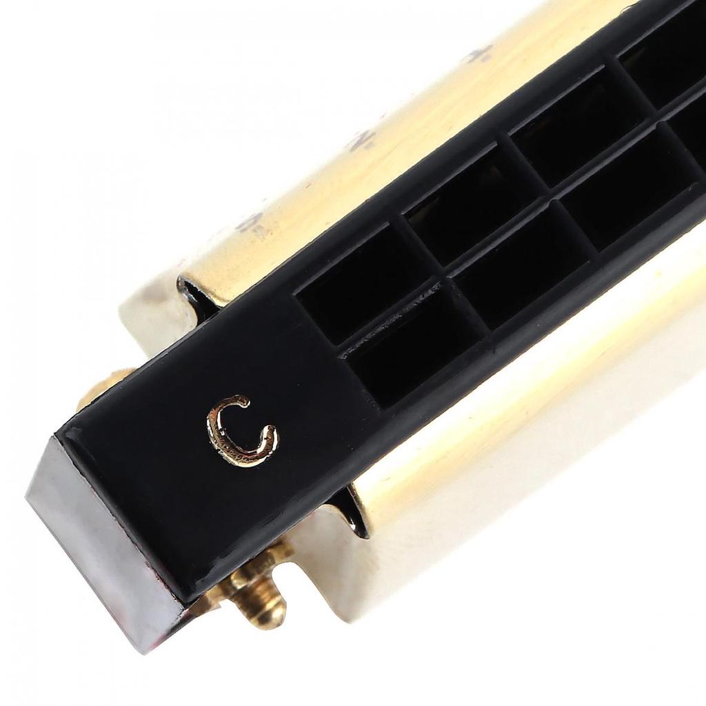 FEIFAN Gold 24 Holes 8K Titanium Harmonica Tremolo Tone Key C Harp Mouth Organ Musical Instruments