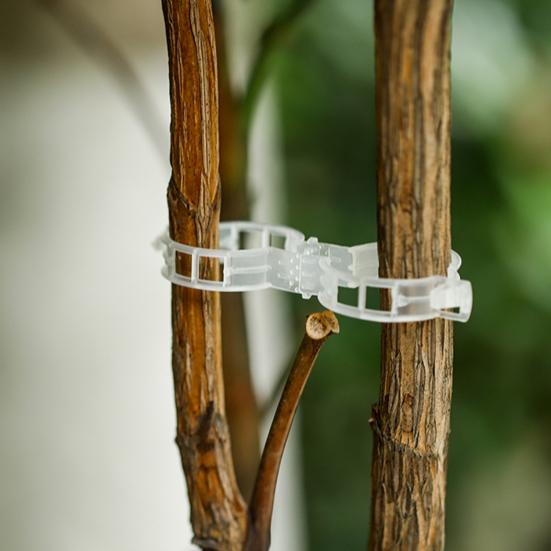 50 шт., без вреда для растений, зажим для виноградной лозы, практичный садовый подвесной держатель для ветвей растений, экономящий трудозатраты