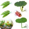 Лист-гамак для петушка Декоративный аквариумный habitat для рыб Набор из 5 шт. Декорация для аквариума Среда обитания для нереста Отдыха Спальное место для гуппи