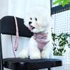 Nylon Dog Collar Harness Leash Set Adjustable Puppy Dogs Harnesses Vest Cute Bowknot Pet Collars With Lead for Small Medium Dogs