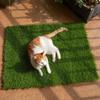 Artificial Grass Dogs Pee Tray Potty Training Pad for Garden Decor Pets Accessories