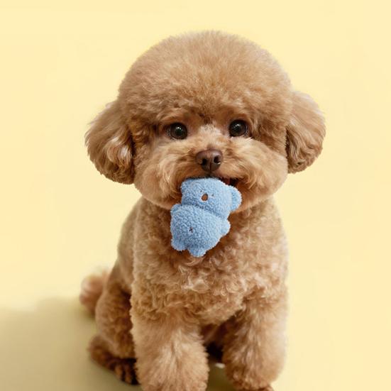 Pet Toys with Built-in Sound Design Soft Plush Teething Toy Gum Massage And Tartar Cleaning Chew Toy for Small
