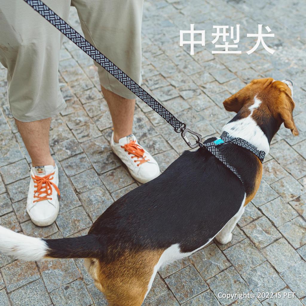 Поводок для собак ISPET для дрессировки, выгула и обучения маленьких, средних и больших собак, длина 1,2 м, нейлон, дышащий, поводок, принадлежности, нескользящий, (черный