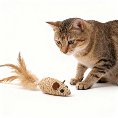 Игрушки из натурального сизаля для S, Сизалевые шарики, игрушки-мышки с гремящим звуком для интерактивной когтеточки, жевательная игрушка с милой игрушкой-мышкой