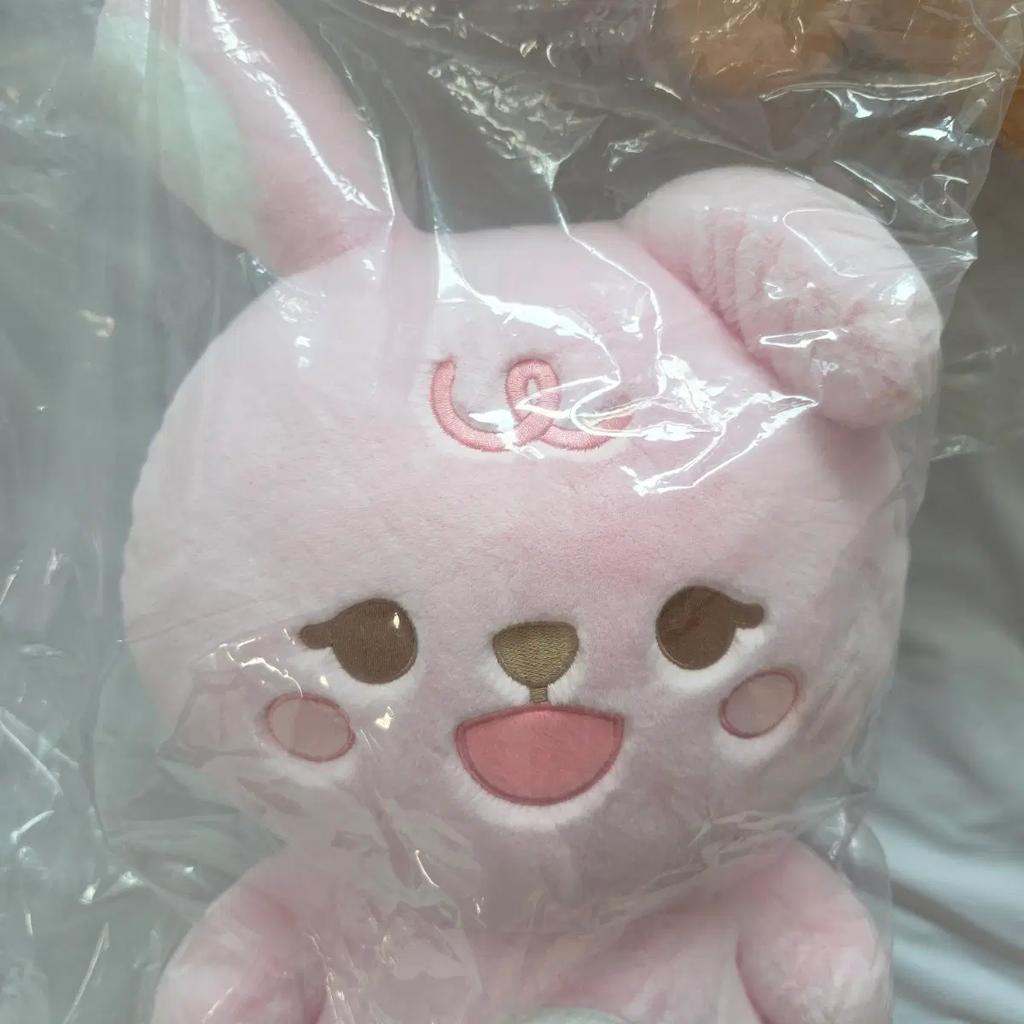 sealed DAY6 MD Giant Petit Muls Feel + Polaroid