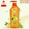 Fenghua Ginger Hair Strengthening Shampoo