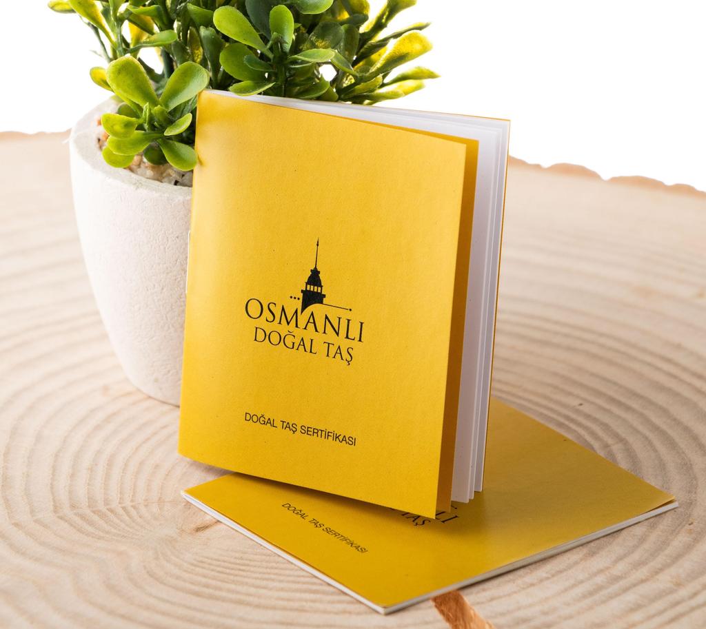 Браслет со знаком Льва Бронзит, Дюмортьерит, Солнечный камень, Яшма, Красный агат, Лабрадорит, Рутиловый кварц, Цитрин