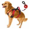 Multi-Point Adjustment Anti-Pull Dog Harness Reflective Dog Leash Dog Chest Strap  Daily Walks