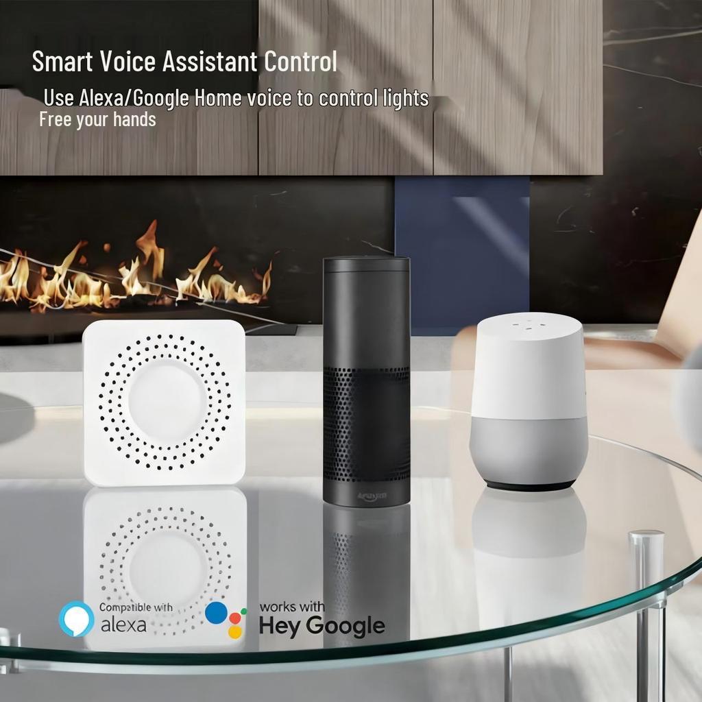 Умный WiFi выключатель-разъединитель Tuya с управлением через приложение и голос, таймером