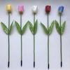 Beigong 2W LED Tulip Outdoor Garden Stake Lights (70cm, 20-Pack)