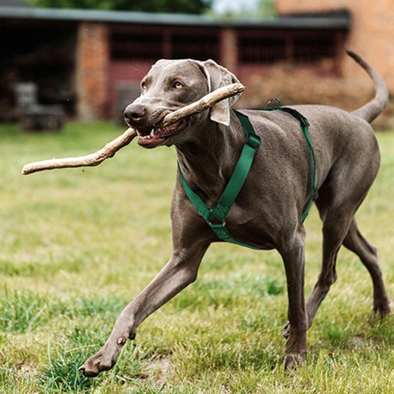 Шлейка для питомца хаски H-образной формы, взрывозащищенная, мягкий нагрудный ремень, тяговый поводок для средних и крупных собак, прочный нейлоновый поводок для питомца, аксессуары